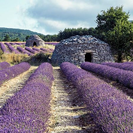 Le Cabanon Des Lavandes Entre Mont Ventoux Et Luberon Sault-de-Vaucluse Ngoại thất bức ảnh